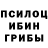 Псилоцибиновые грибы GOLDEN TEACHER nat ship