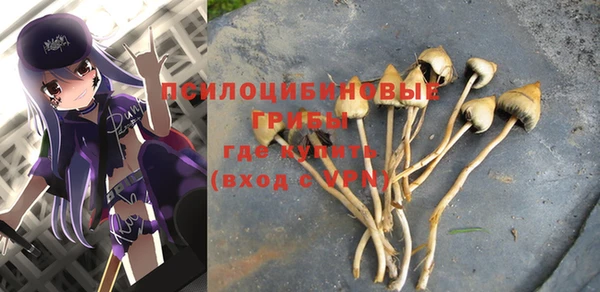 a pvp Вяземский