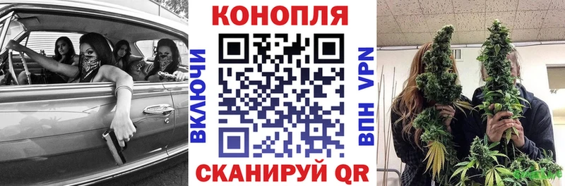 Канабис конопля  Купить где  Суджа 